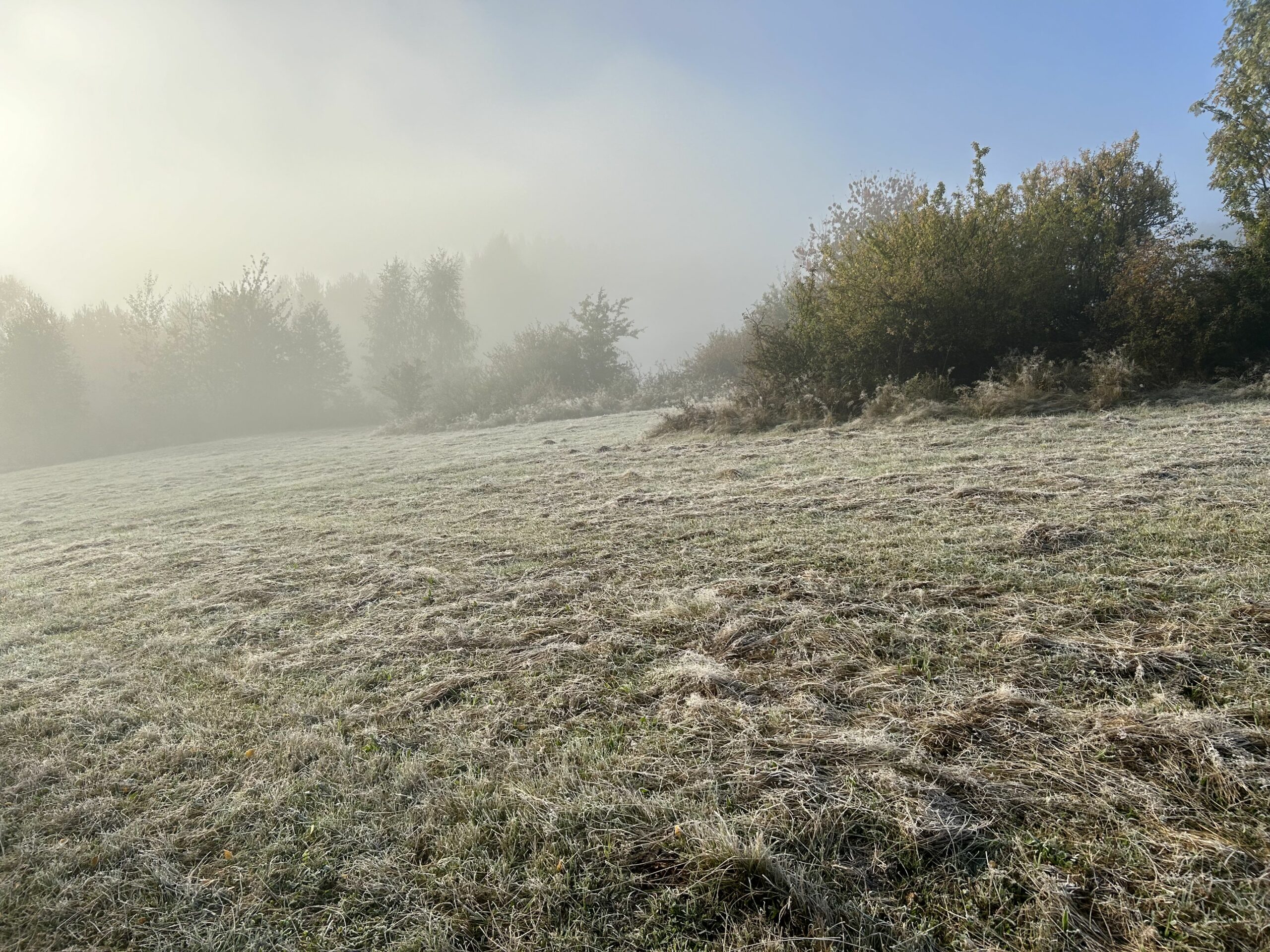 GSB – dzień 4 – Beskid Sądecki