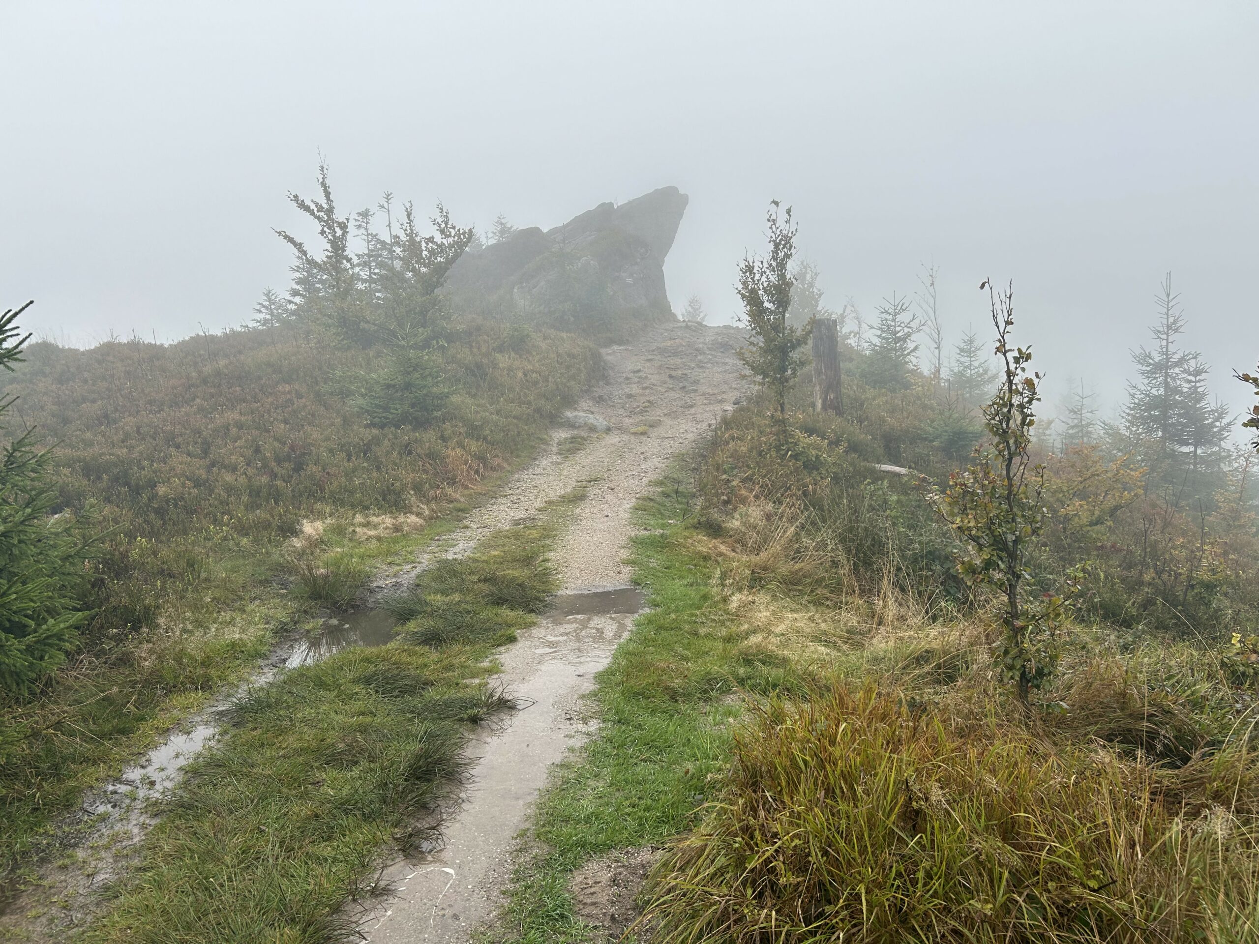 GSB – dzień 7 – Beskid Śląski